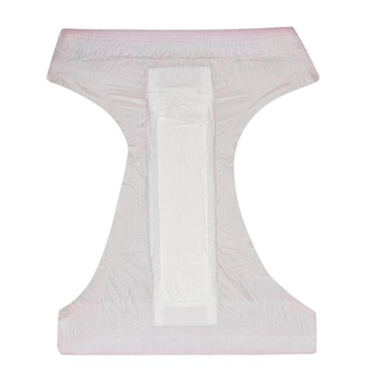 Anti-Leak Menstrual Sanitary Pants